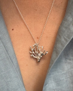 wodorost silver 02.jpg