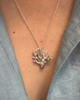 wodorost silver 02.jpg