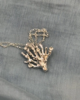 wodorost silver 01.jpg
