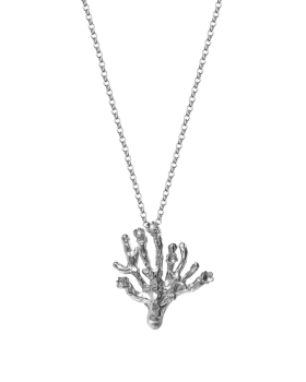 wodorost silver 022.jpg