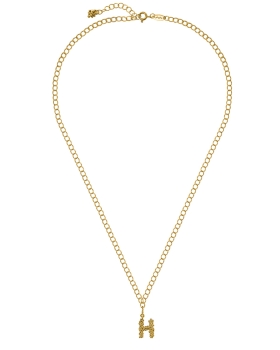 h necklace gold.jpg