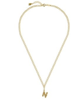 n necklace gold.jpg