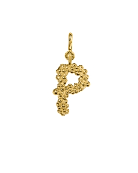 p letter gold.jpg