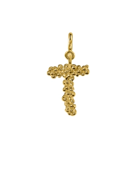 t letter gold.jpg