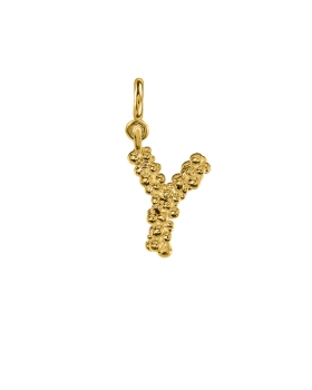 y letter gold.jpg