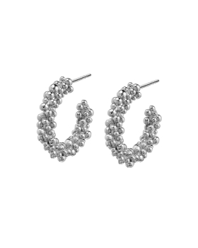 01 raa earrings silver.jpg
