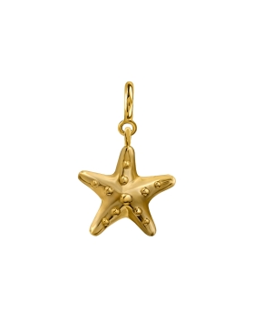 01 anchor starfish.jpg