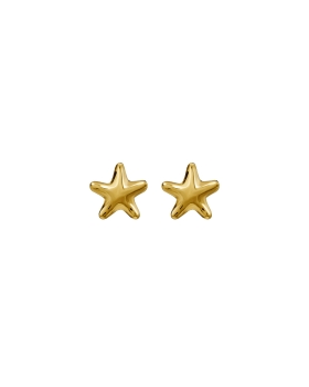 01 mini sea star.jpg