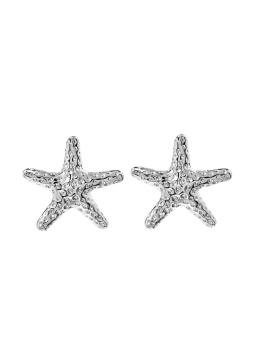 a new rozgwiazda earrings silver.jpg