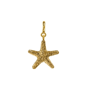 a new rozgwiazda charms gold.jpg