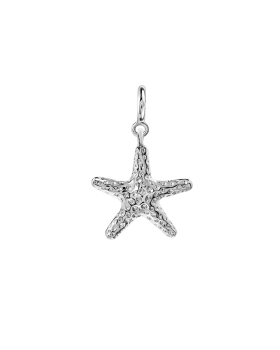 a new rozgwiazda charm silver.jpg