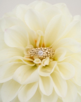 02 Melon ring close.jpg