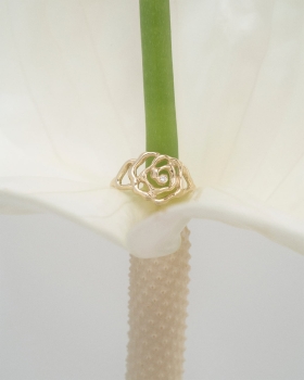 05 Rose ring.jpg