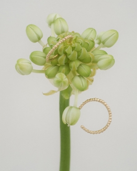 01 soil earrings.jpg