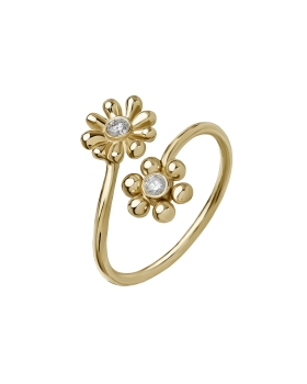 Garden ring ps.jpg