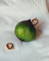 ce gold earrings 01.jpg