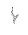 letter y silver.jpg