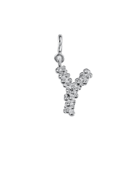 letter y silver.jpg