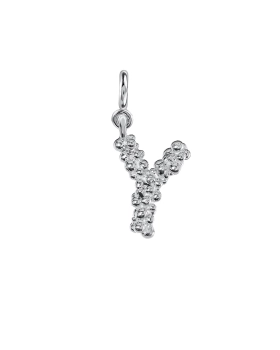 letter y silver.jpg