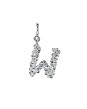 letter w silver.jpg