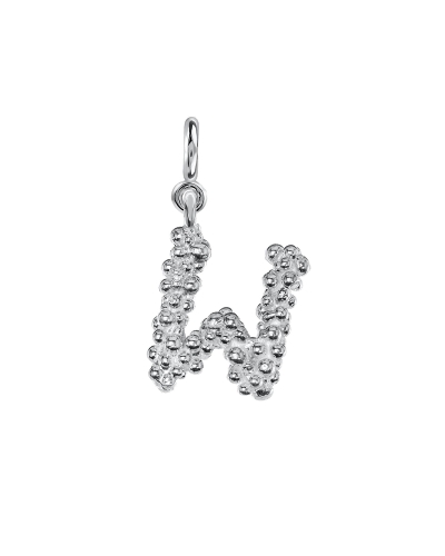 letter w silver.jpg