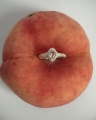 Peach ring silver.jpg