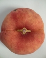 Peach ring gold.jpg