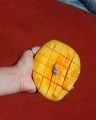 Vit. C 6.jpg