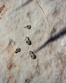 All pendant3.jpg