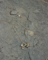 Summer necklace3.jpg