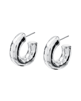 hoops silver3.jpg