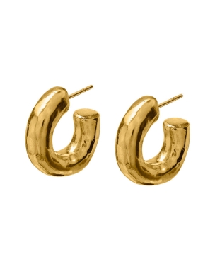 Hoops earrings gold