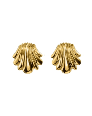 Seashell earrings gold